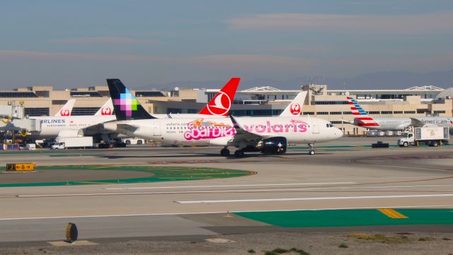 Airbus A320neo (N528VL) - The Barbie livery is leaving for GDL as Y4 5917