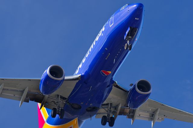 Boeing 737-800 (N8671D)