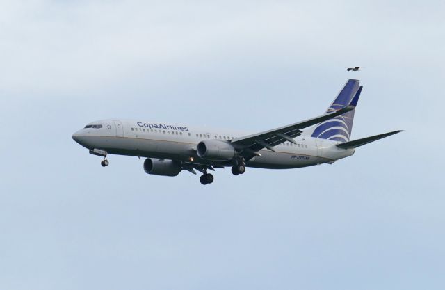 Boeing 737-700 (HP-1727CMP) - On short final for Rwy 03R.