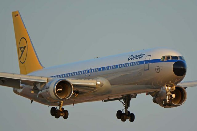 BOEING 767-300 (D-ABUM) - Retro Condor Boeing 767-31BER D-ABUM at Phoenix Sky Harbor on August 9, 2018.