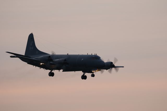 Lockheed P-3 Orion (14-0104) - 06 June 2016:Royal Canadian Air Force, Lockeed CP-140 Aurora