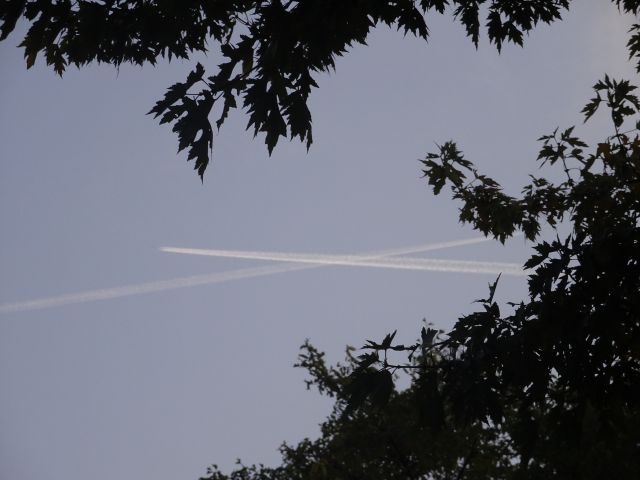 Boeing MD-11 — - FedEx Md11 crossing paths with a delta 737-800. 