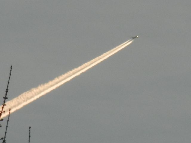 Airbus A330-200 (VQ-BBE) - An Aeroflot Airbus A330-20 Rises Up From The Trees As It Flies By En-Route On An 11 Hour Journey Flying Back Into Moscow Russia, This Aircraft Took Off From Havana Cuba, Those Foreign Airliners Are Very Rare To See Over The USA,