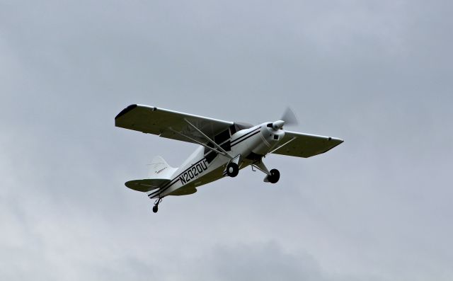 MAULE M-4 Rocket (N2020U) - Local Maule M-4 departing at Reid Hillview.