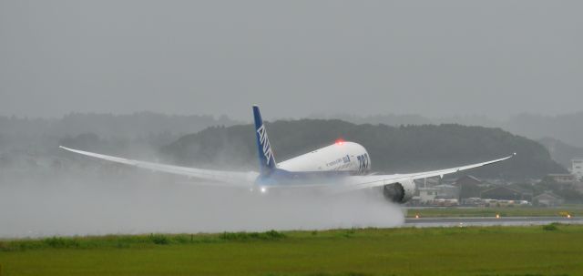 Boeing 787-8 (JA816A)