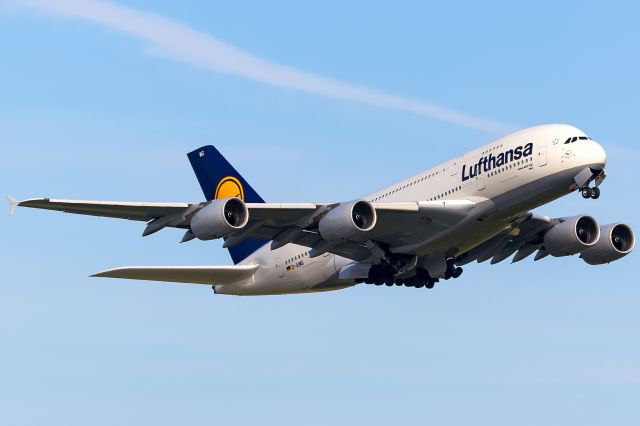 Airbus A380-800 (D-AIMG)