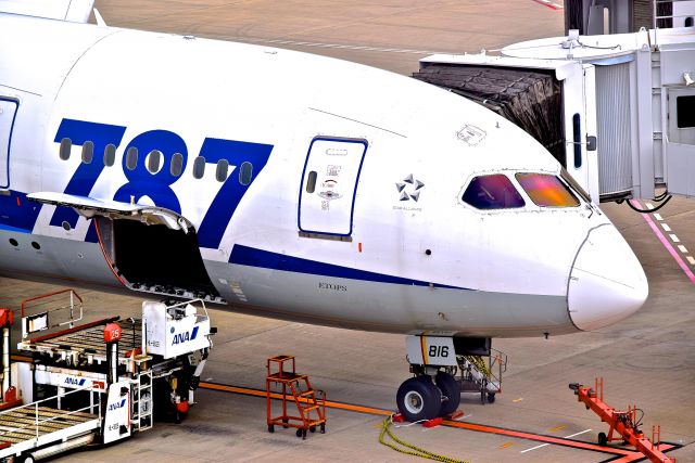 Boeing 787-8 (JA819A)