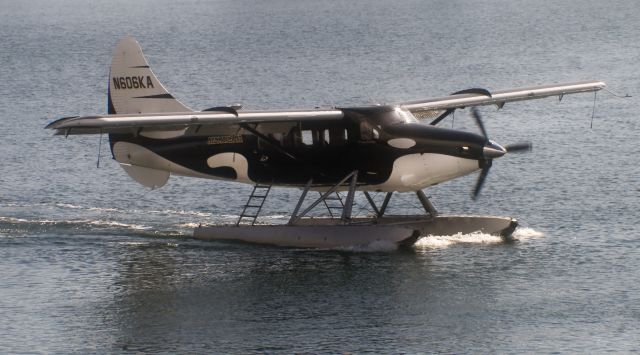 De Havilland Canada DHC-3 Otter (N606KA)