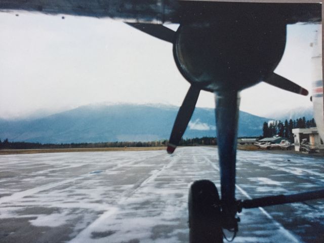 — — -  B170 Bristol Freighter port side gear (1989)