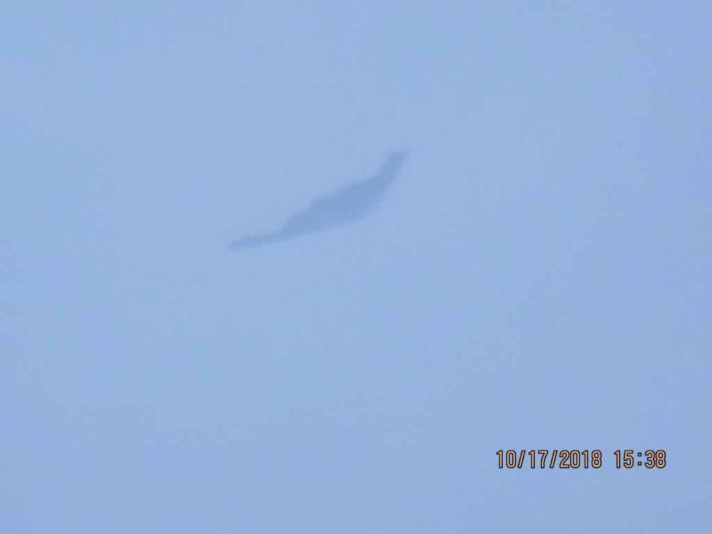 Northrop Spirit (88-0331)