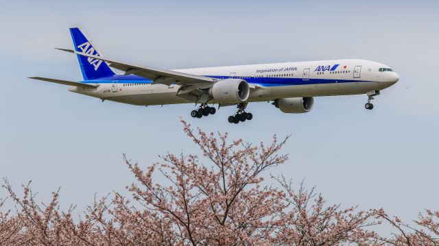 BOEING 777-300 (JA779A) - I photographed it in a Narita Sakuranoyama Park.br /All Nippon Airways / Boeing 777-381/ERbr /Apr.09.2016 Narita International Airport [NRT/RJAA] JAPAN