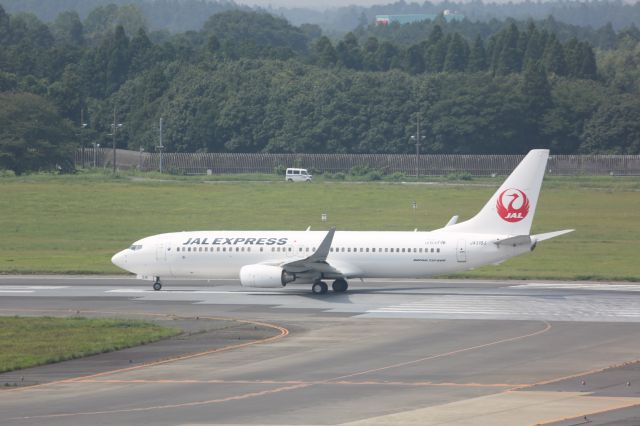 Boeing 737-800 (JA316J)