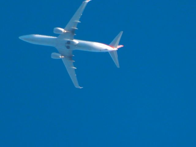Boeing 737-800 (N961NN) - AAL2636br /SJD-ORDbr /11/19/2024