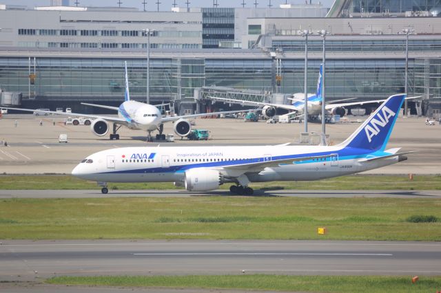 Boeing 787-8 (JA832A)