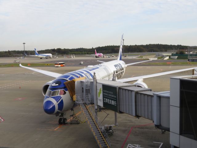 Boeing 787-9 Dreamliner (JA873A)