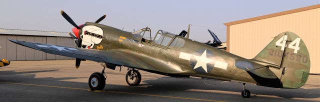 CURTISS Warhawk (N40P) - Warbird Roundup 2018 at Warhawk Air Museum, Nampa, ID, 25 Aug 18