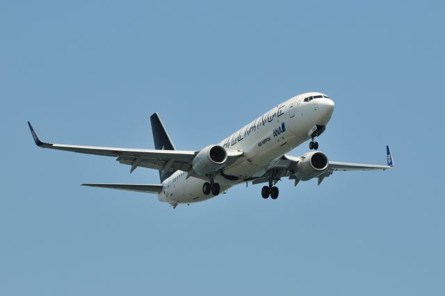 Boeing 737-800 (JA51AN) - 2011/5/8