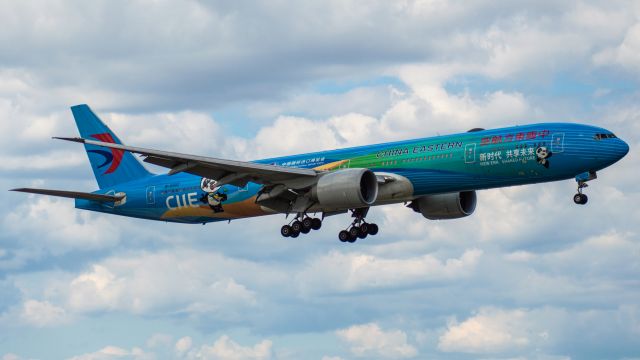 BOEING 777-300ER (B-2002) - China Eastern 777-300 arriving in the shade in the China International Import Expo livery