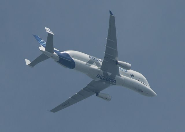 AIRBUS A-330-700 Beluga XL (F-GXLI) - Airbus Transport International, Airbus A330-743L Beluga XL Registration F-GXLI (ICAO24 395D68) Beluga #XL3