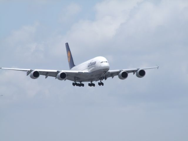 Airbus A380-800 (D-AIMD) - miami coool a380