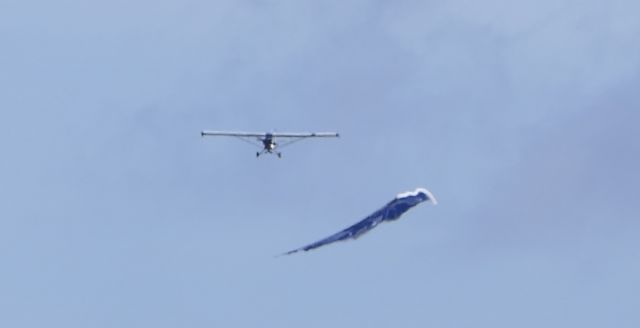 Piper L-21 Super Cub (N294T)