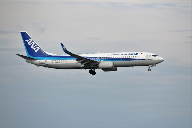 Boeing 737-800 (JA89AN)