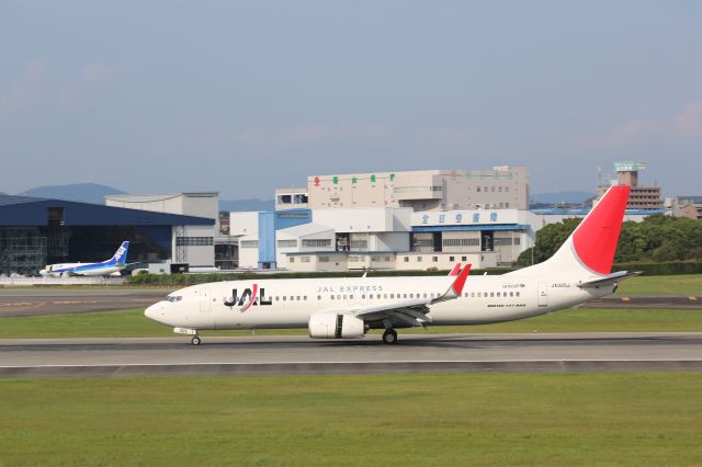 Boeing 737-800 (JA325J)