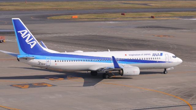 Boeing 737-800 (JA76AN)