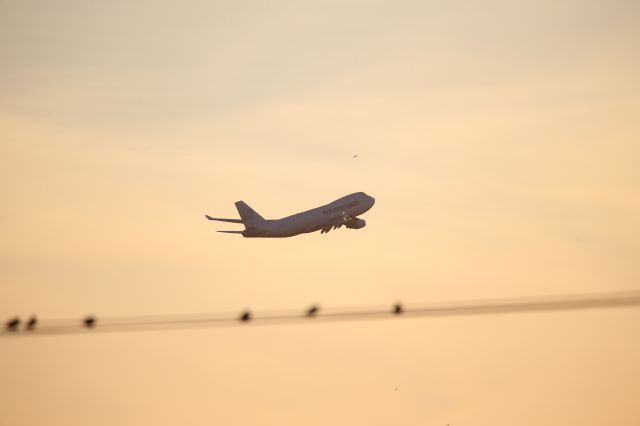 Boeing 747-400 (N903AR)