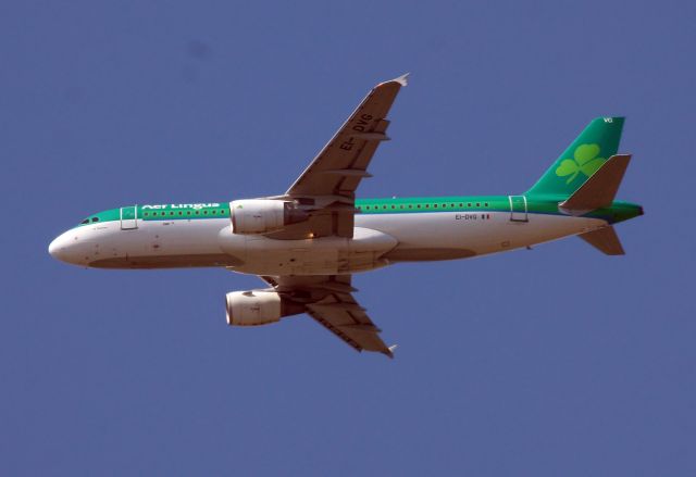 Airbus A320 (EI-DVG)