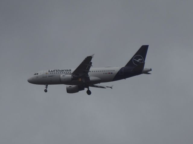 Airbus A319 (D-AILI) - LH A319-100 D-AILI on its flight LH147 from NUE due to landing on 25R FRA. Photo made in the noon of 18.02.2023 at Stadtwald highway rest camp.