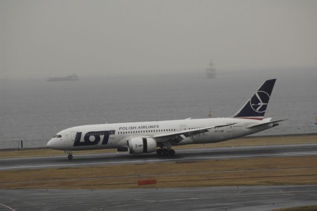 Boeing 787-8 (SP-LRE) - Landing at Tokyo-Haneda Intl Airport Rwy34R on 2015 02/25