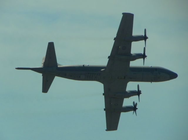 Lockheed P-3 Orion (14-0110)