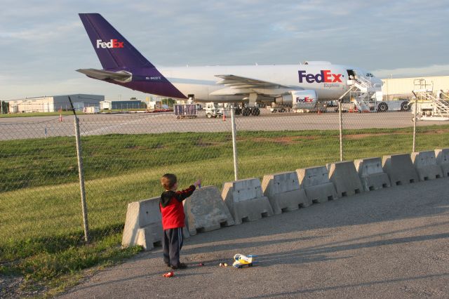 — — - 3yr old Awaits Fed Ex Departure Outagamie Cty Appleton, WI