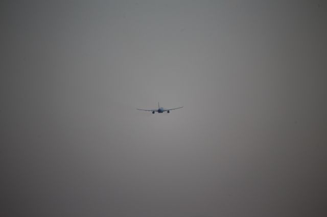 Airbus A330-200 (N396HA)