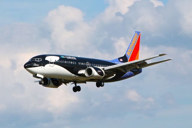 Boeing 737-700 (N334SW) - Southwest Airlines N334SW Shamu seen landing on 33L at BWI on August 12, 2012