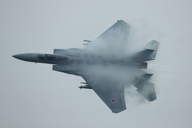 McDonnell Douglas F-15 Eagle (22-8806) - Japan Air Self Defense Force F-15J Eagle