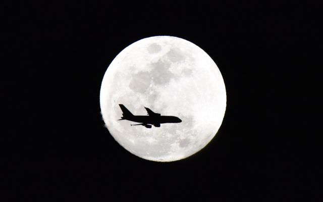 Airbus A380-800 (B-6139) - Inbound to LAX