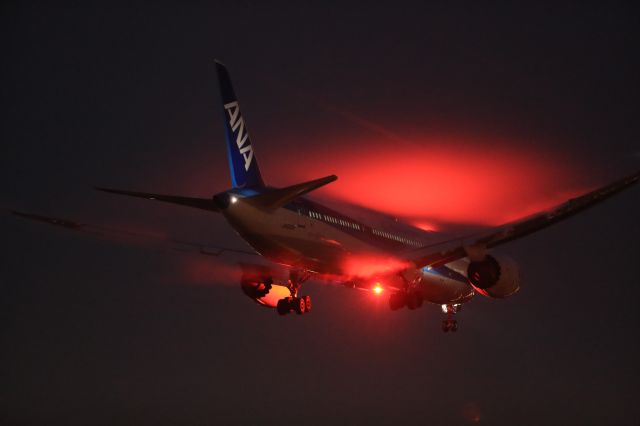 Boeing 787-9 Dreamliner (JA830A) - May 1st 2019:HND-HKD.