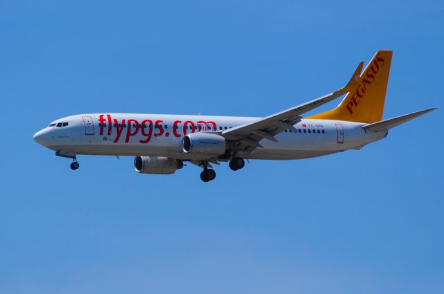 Boeing 737-800 (TC-IZD) - Pegasus Airlines TC-IZD final approach Rwy16L, LTBJ-ADB