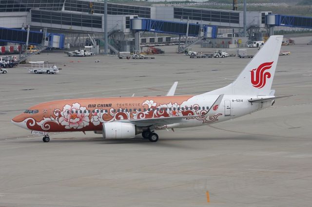 Boeing 737-800 (B-5214)