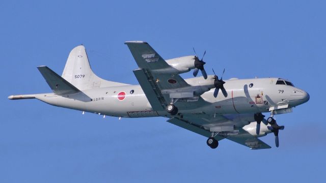 N5079 — - P-3C Orion 海上自衛隊