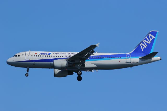 Airbus A320 (JA8313)