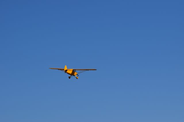 N1640N —