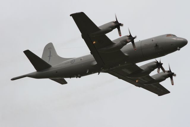 Lockheed P-3 Orion — - RoyalRoyalNew Zealand Air Force - P-3KK2br /July 1, 2013 Atsugi AFB