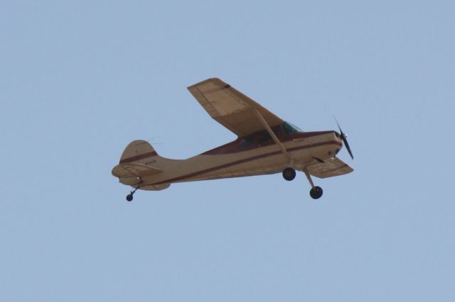 Cessna 170 (N1337D) - N1337D departs Runway 14 at Sarasota-Bradenton International Airport