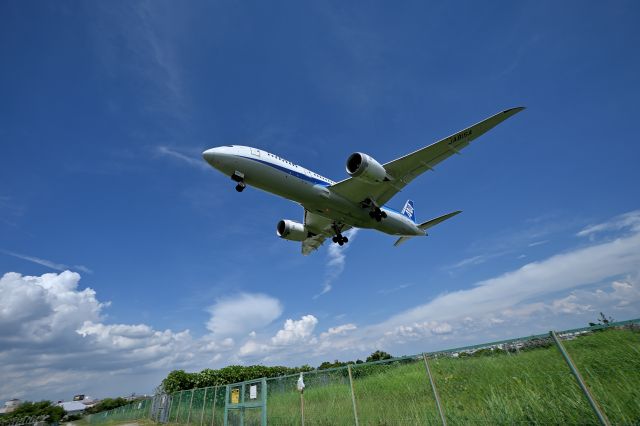 Boeing 787-8 (JA815A) - 24.Jul.2024br /On the Senri River riverbed at Osaka (Itami) International Airport.br /All Nippon Airways Boeing 787-8 Dreamliner (JA815A).br /Photographed with a wide-angle lens against the backdrop of a summer sky.br /No Trimming.