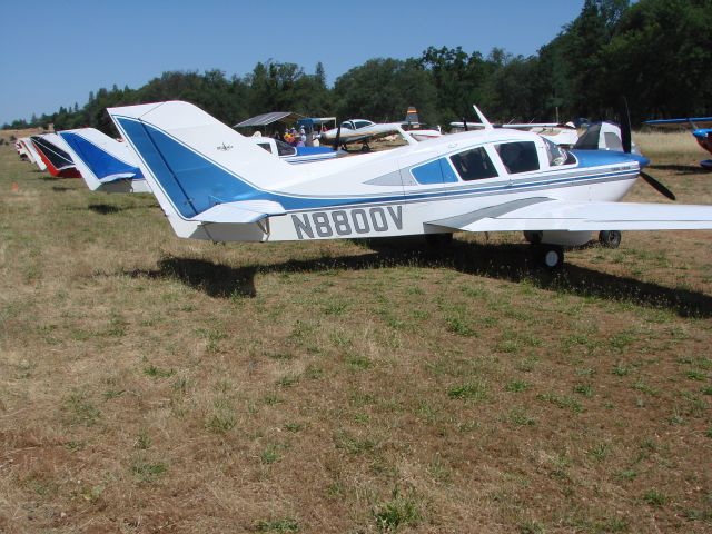 BELLANCA Viking (N8800V) - Bellanca-Champion Club 2014 West Coast Fly-In at Columbia California.