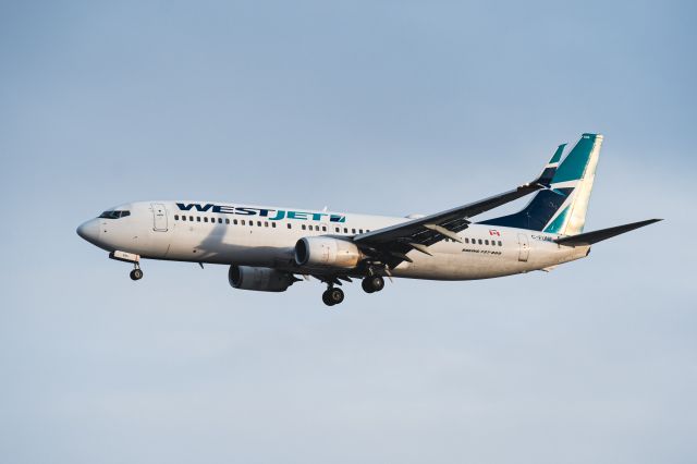 Boeing 737-700 (C-FUMF)