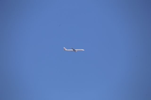 BOEING 777-300ER (JA733J)